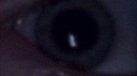 Shot 5