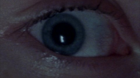 Shot 9
