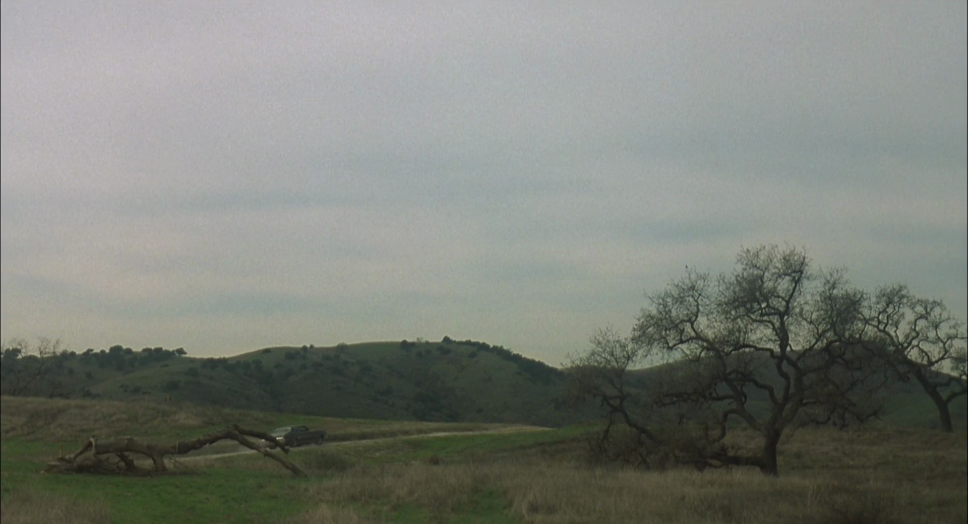 Shot 152