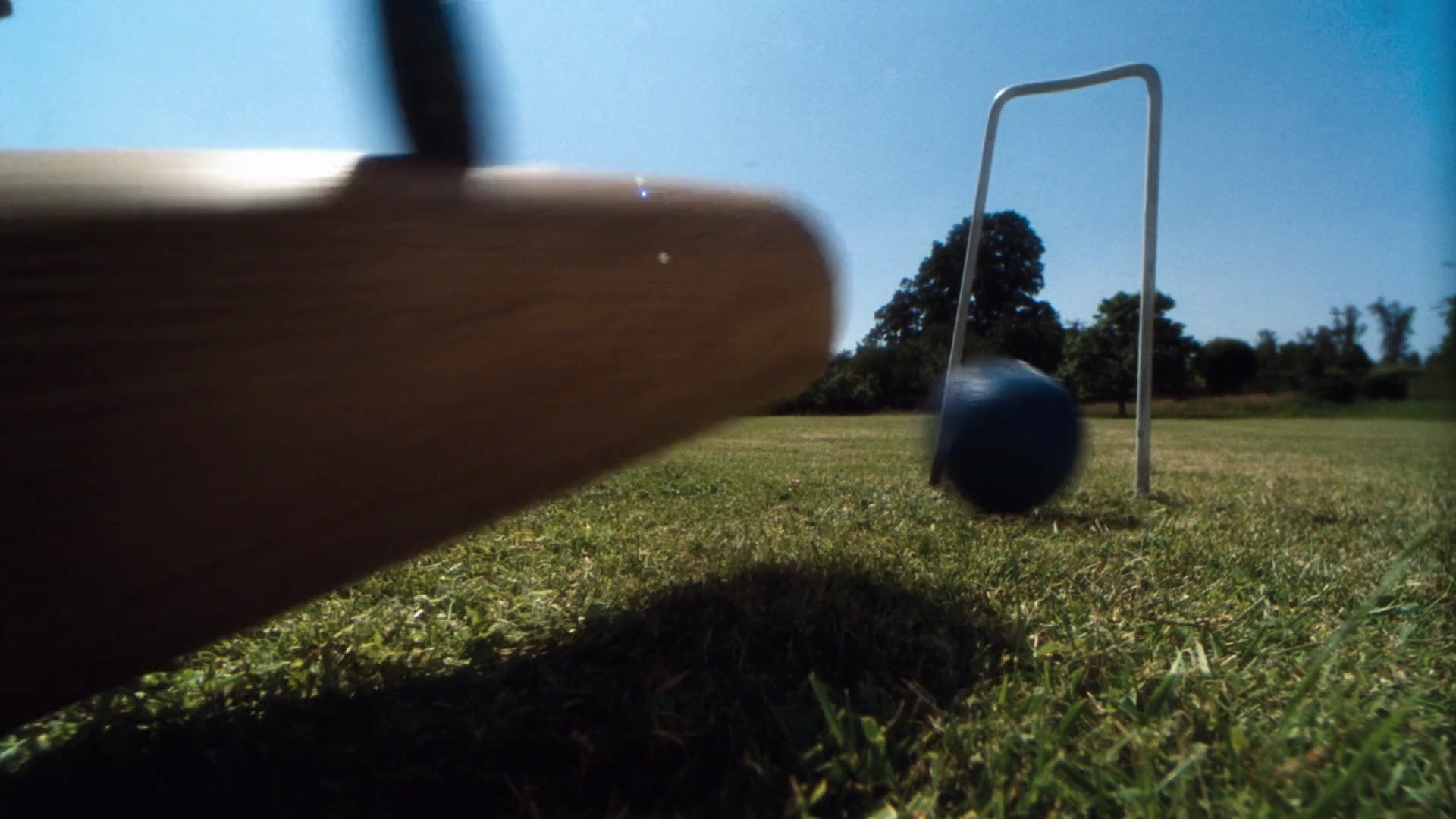 Shot 491