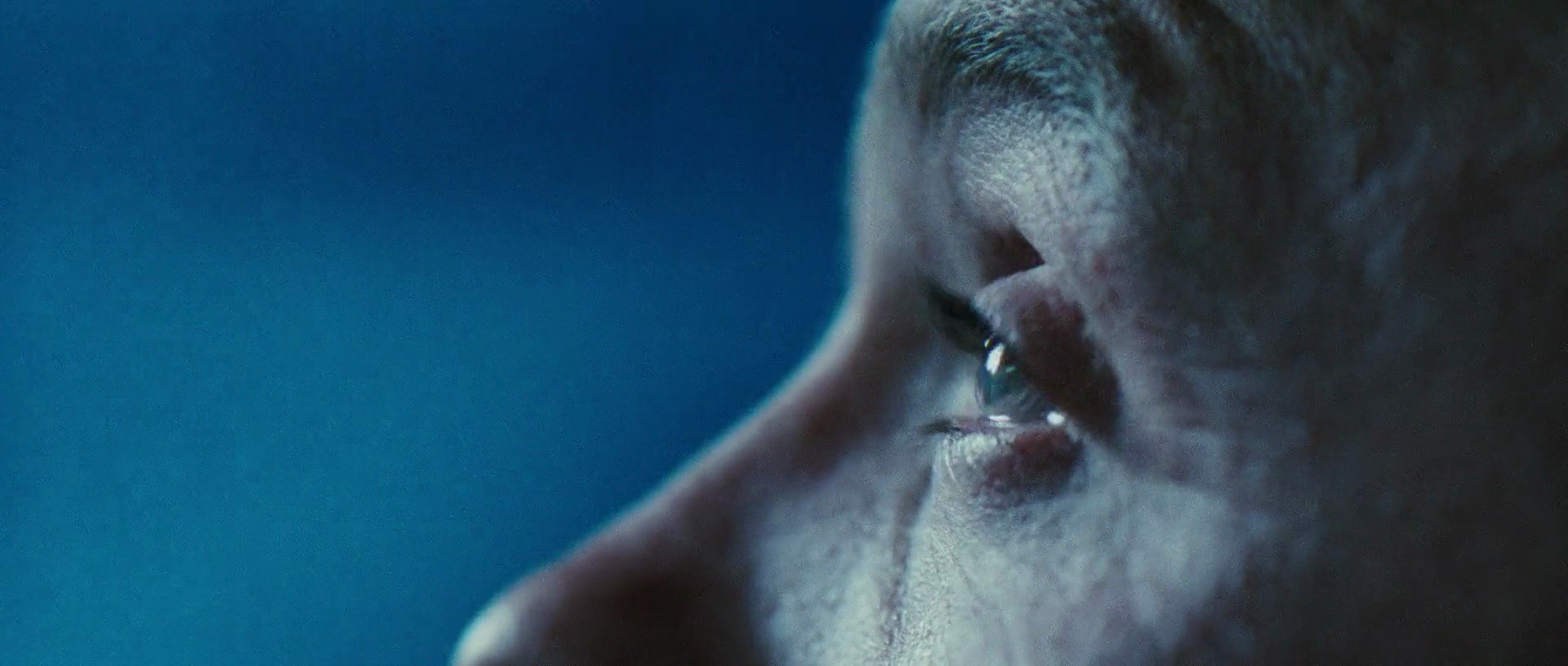 Shot 1409
