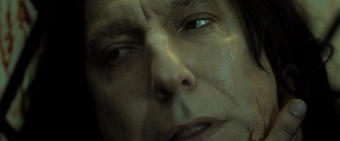 Shot 953