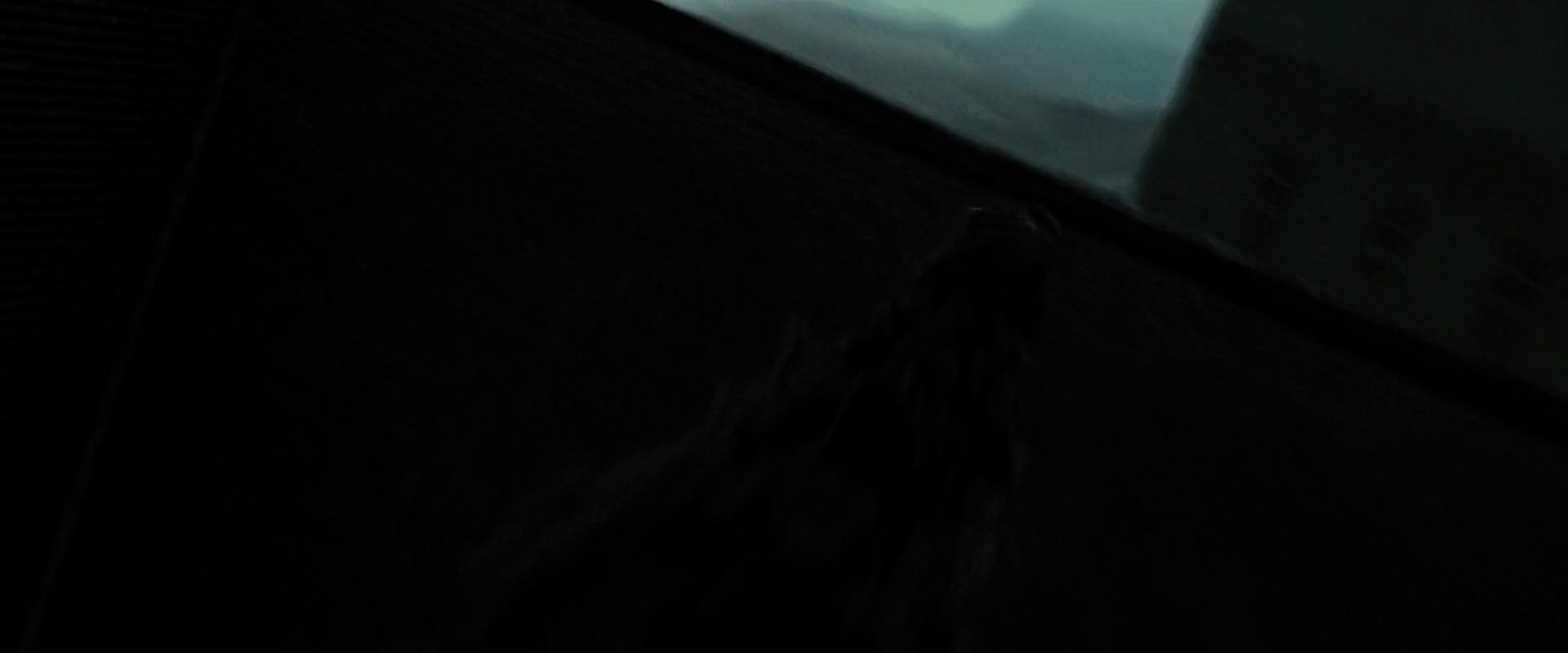 Shot 1373