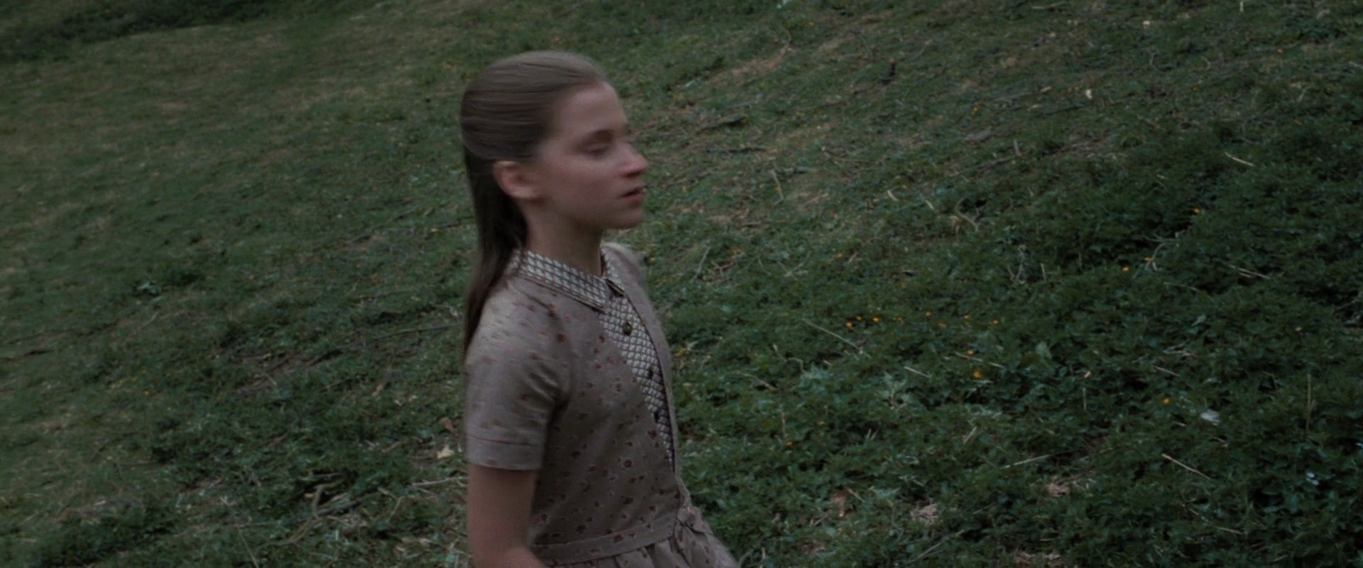 Shot 1016