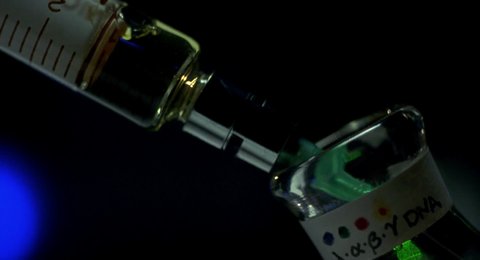 Shot 77