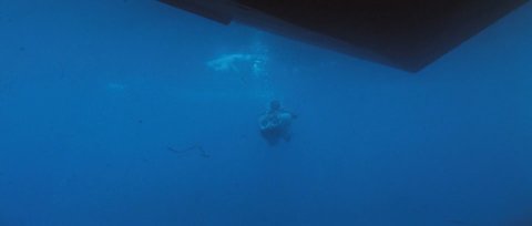 Shot 1899
