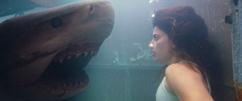 Shot 1656
