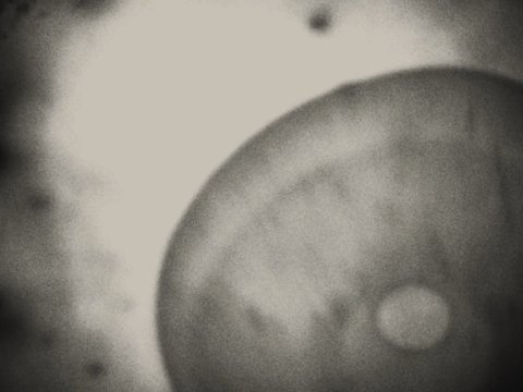 Shot 2