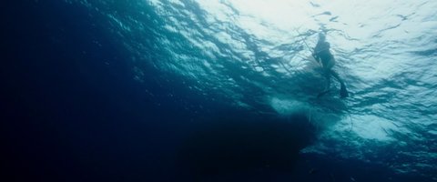 Shot 914
