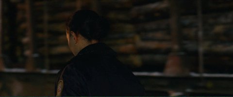 Shot 2005
