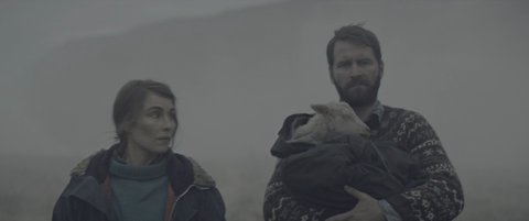 Shot 137