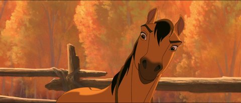 Shot 878