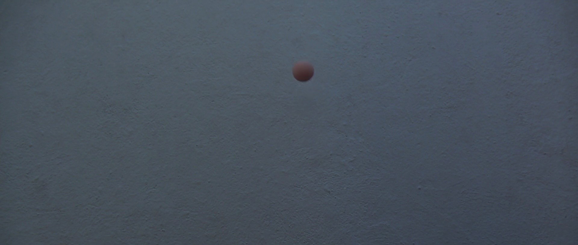 Shot 1595