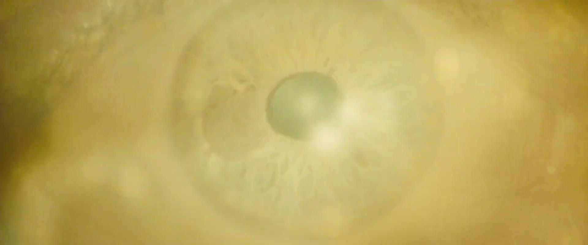 Shot 1496