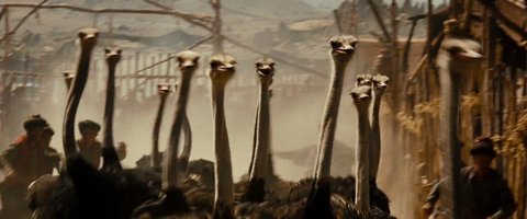 Shot 1046