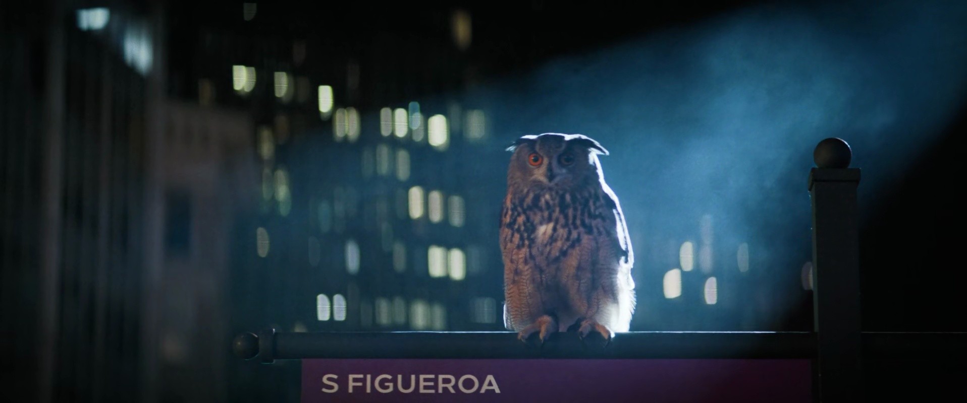 Shot 1642