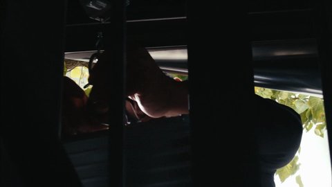 Shot 2009