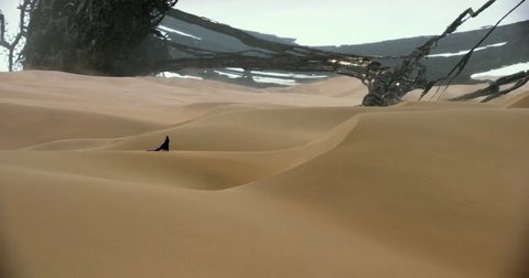 Shot 3603