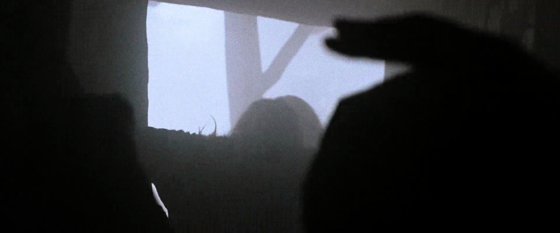 Shot 2398
