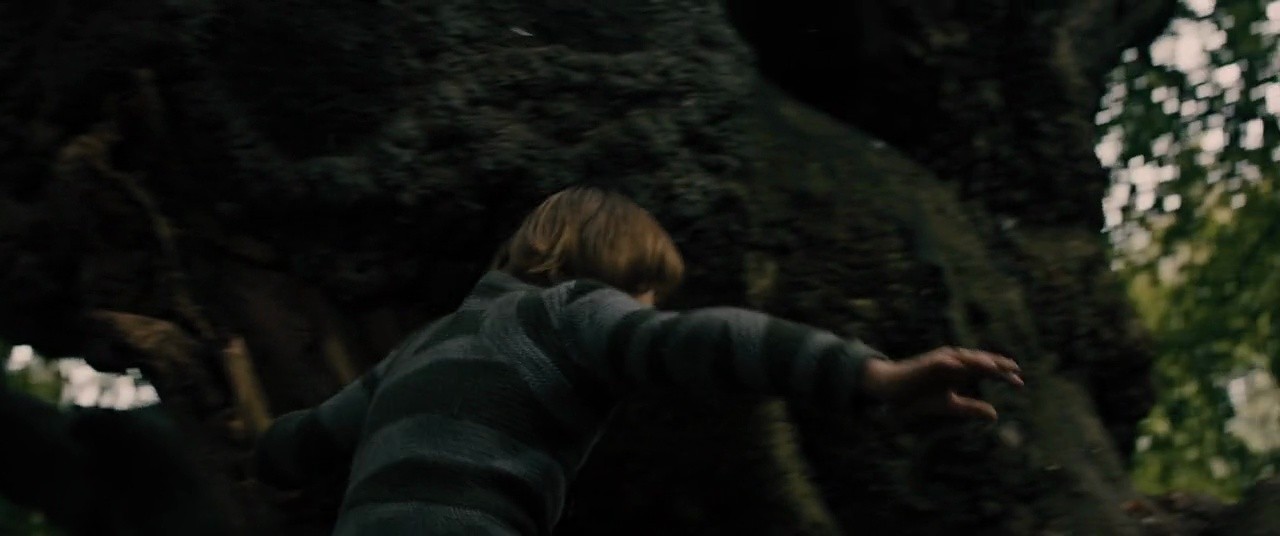 Shot 488