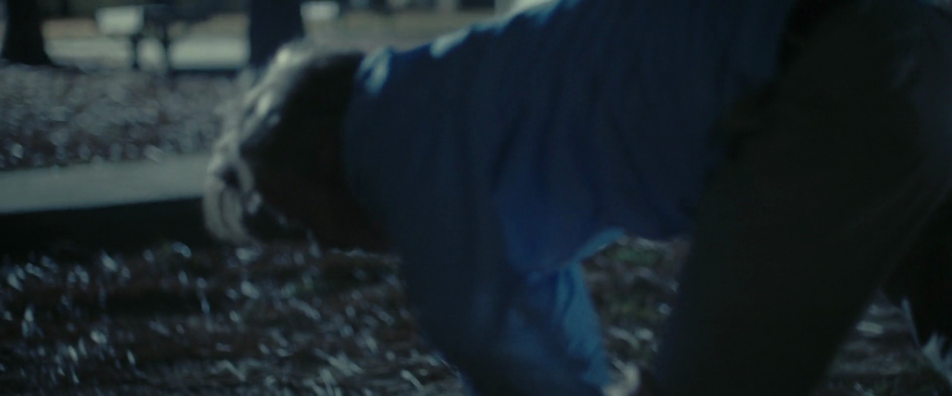 Shot 381