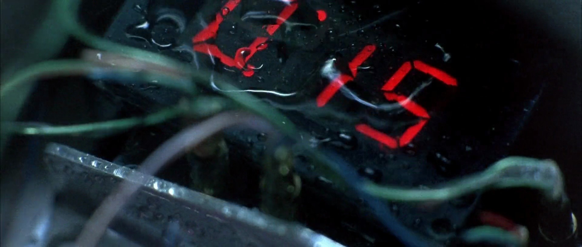 Shot 304