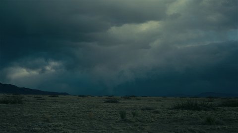 Shot 2011