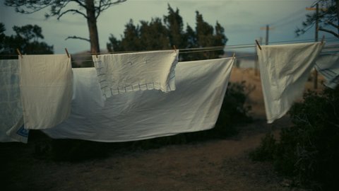 Shot 2012