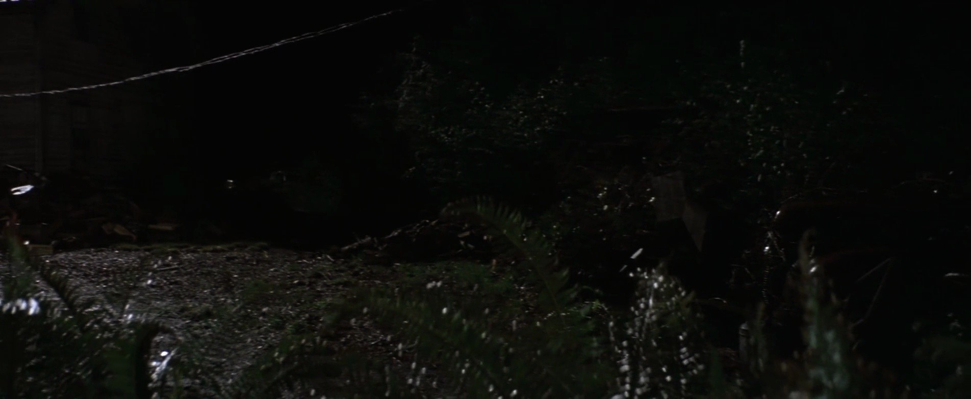 Shot 703