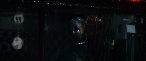 Shot 107