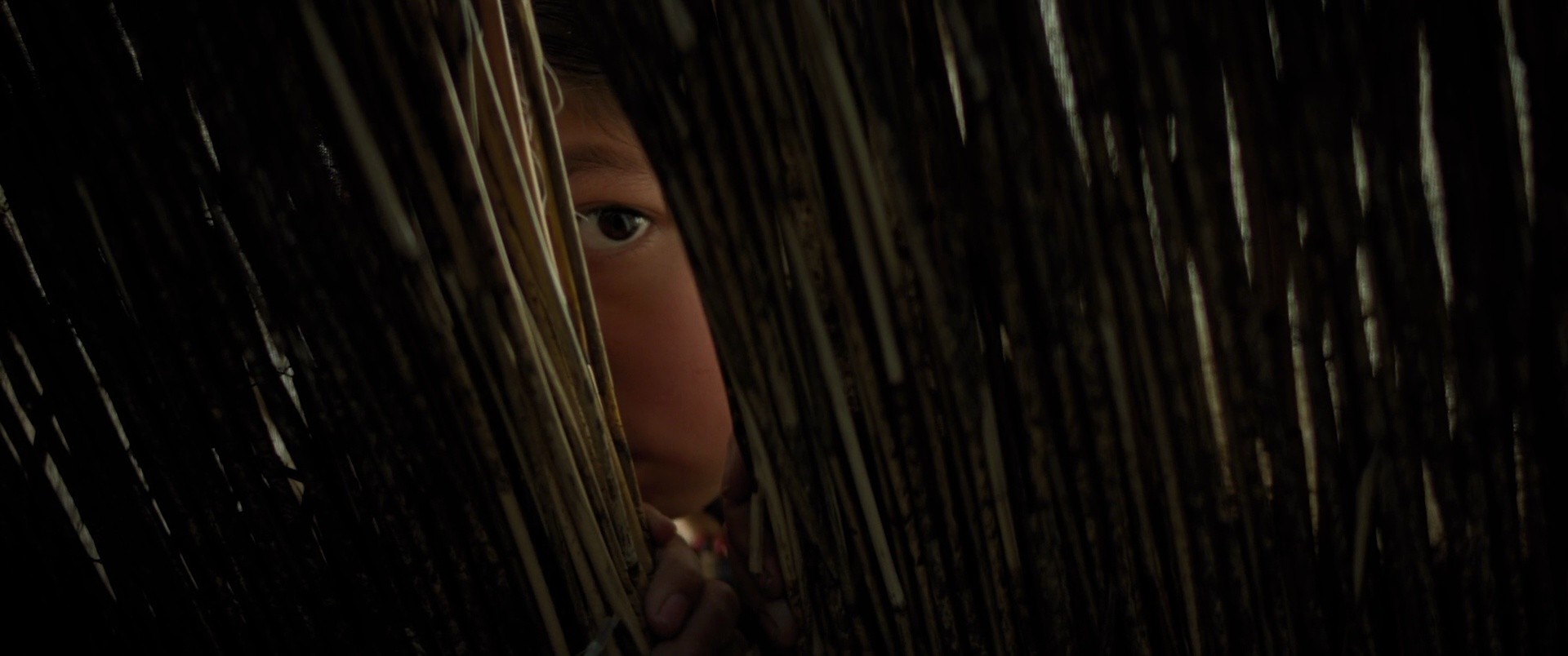 Shot 8