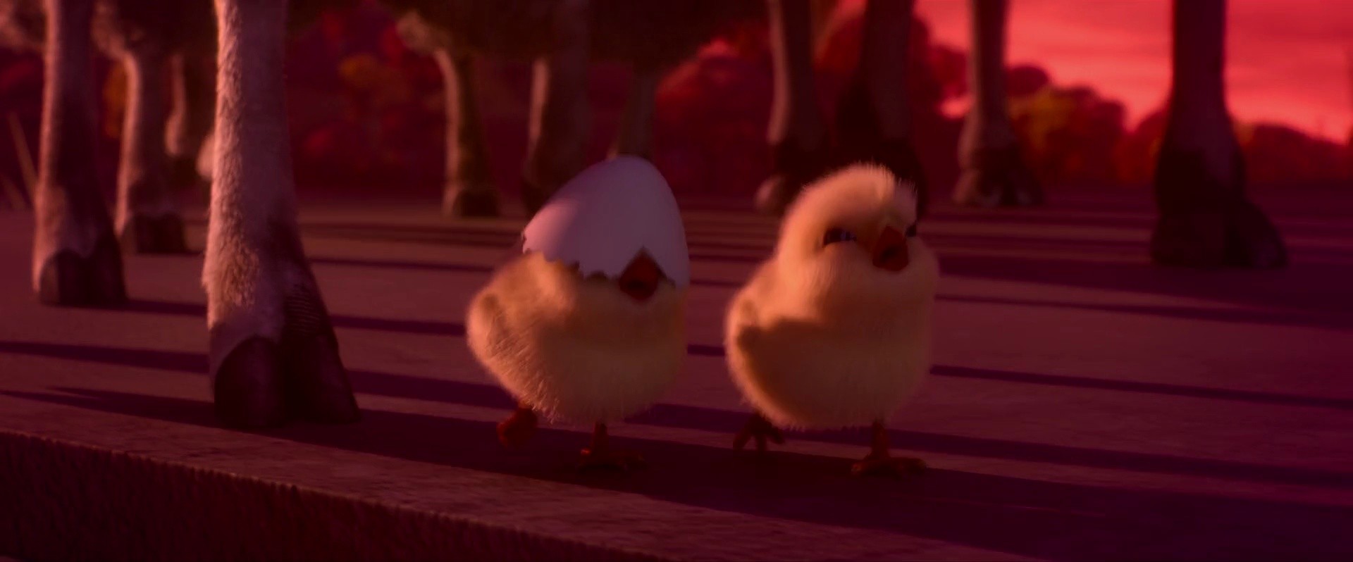 Shot 819