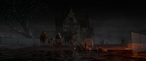 Shot 1263