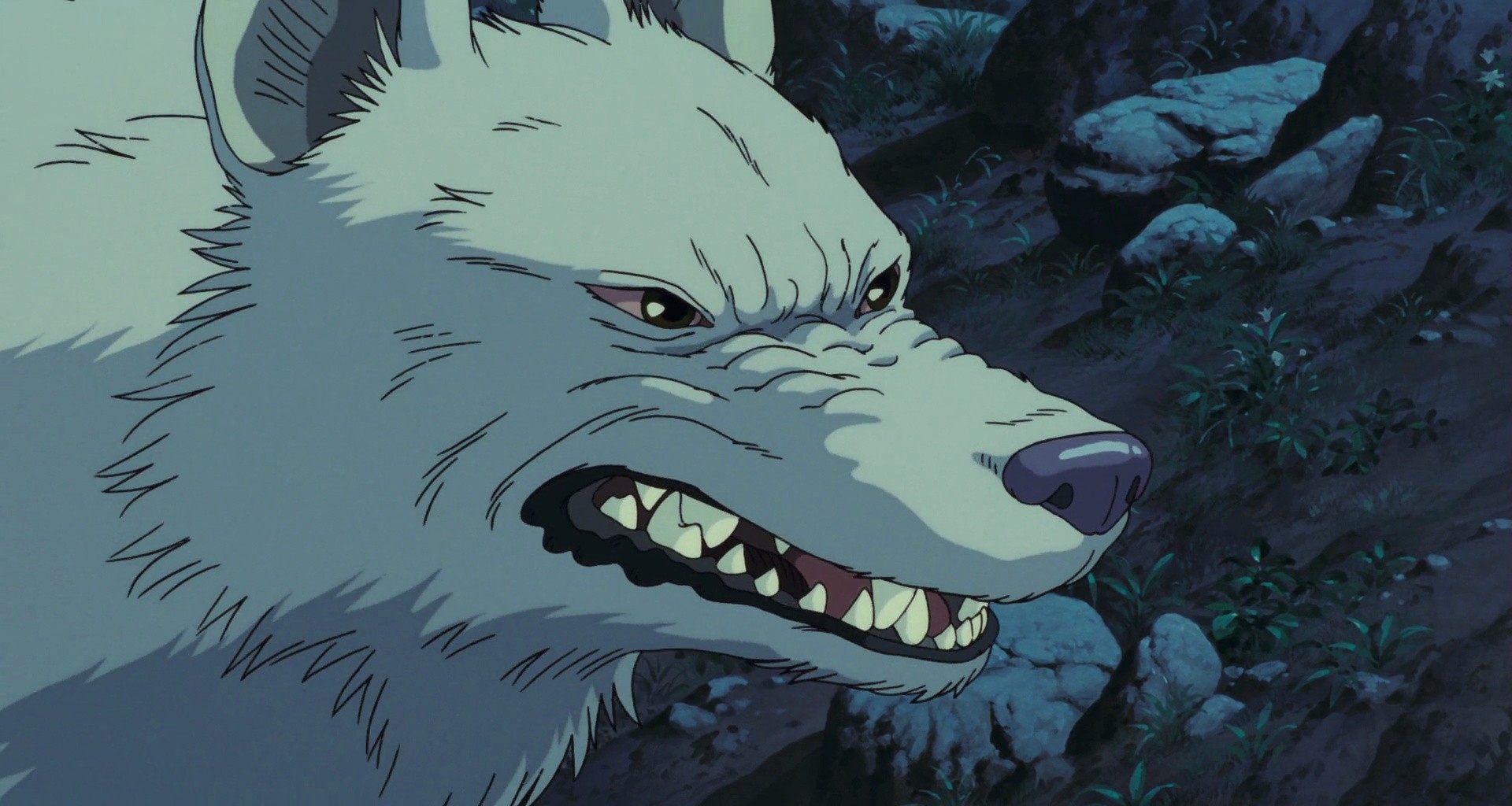 Shot 741