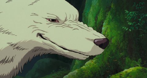 Shot 884