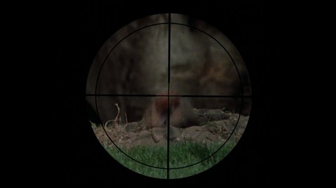 Shot 349
