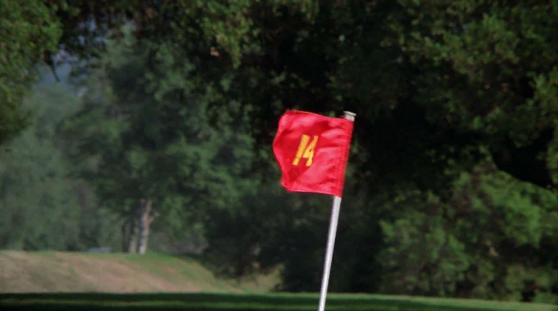 Shot 74