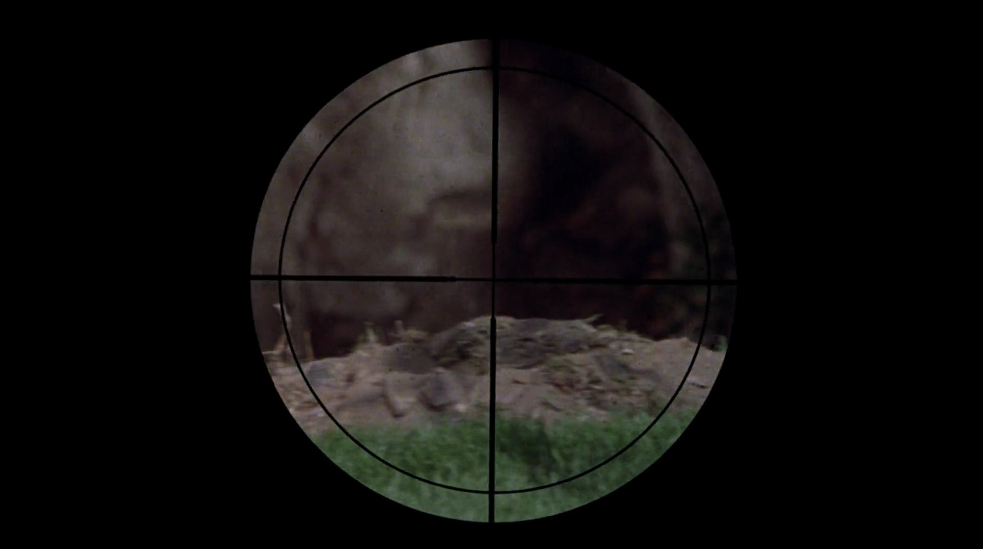 Shot 321