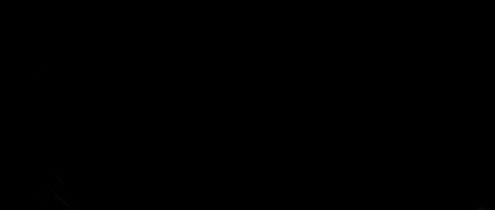Shot 1891