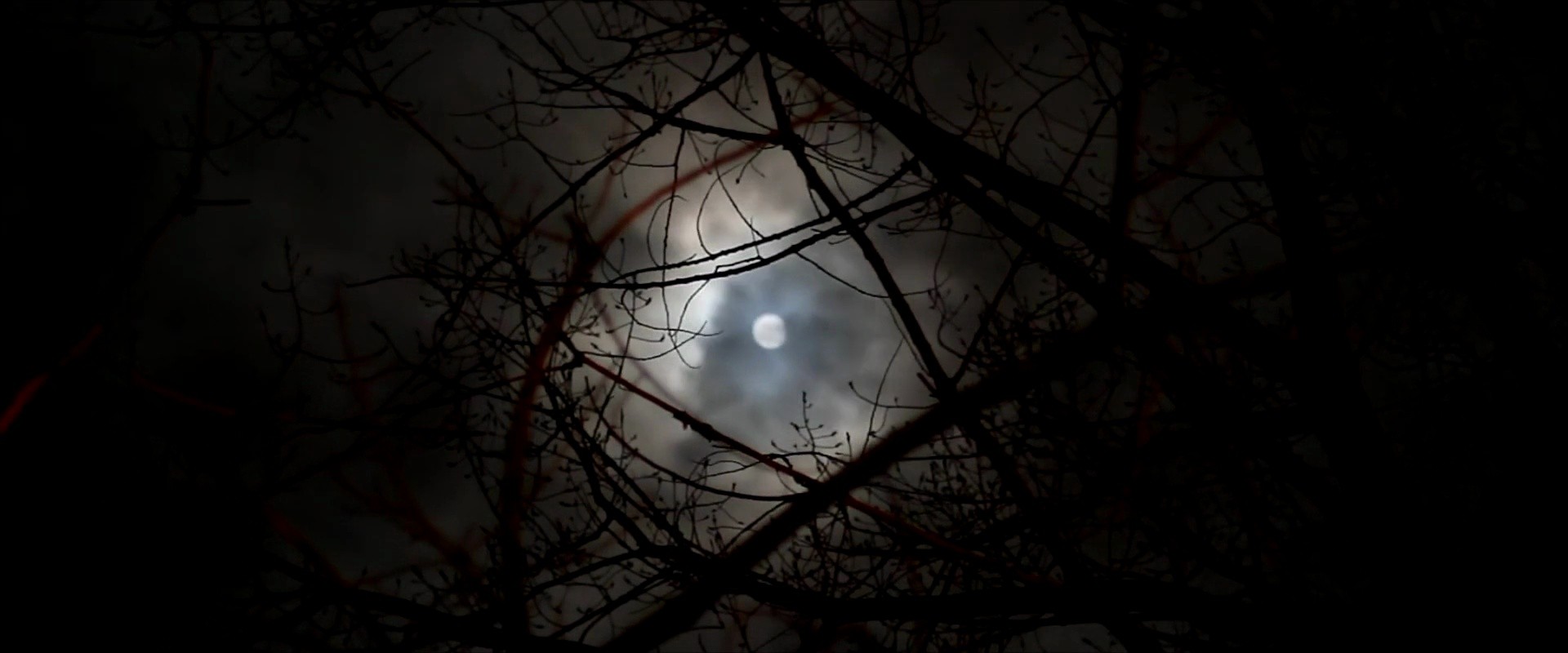 Shot 509