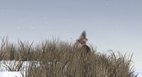 Shot 6
