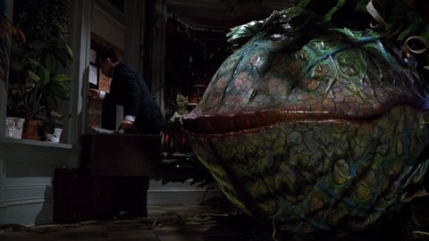 Shot 977
