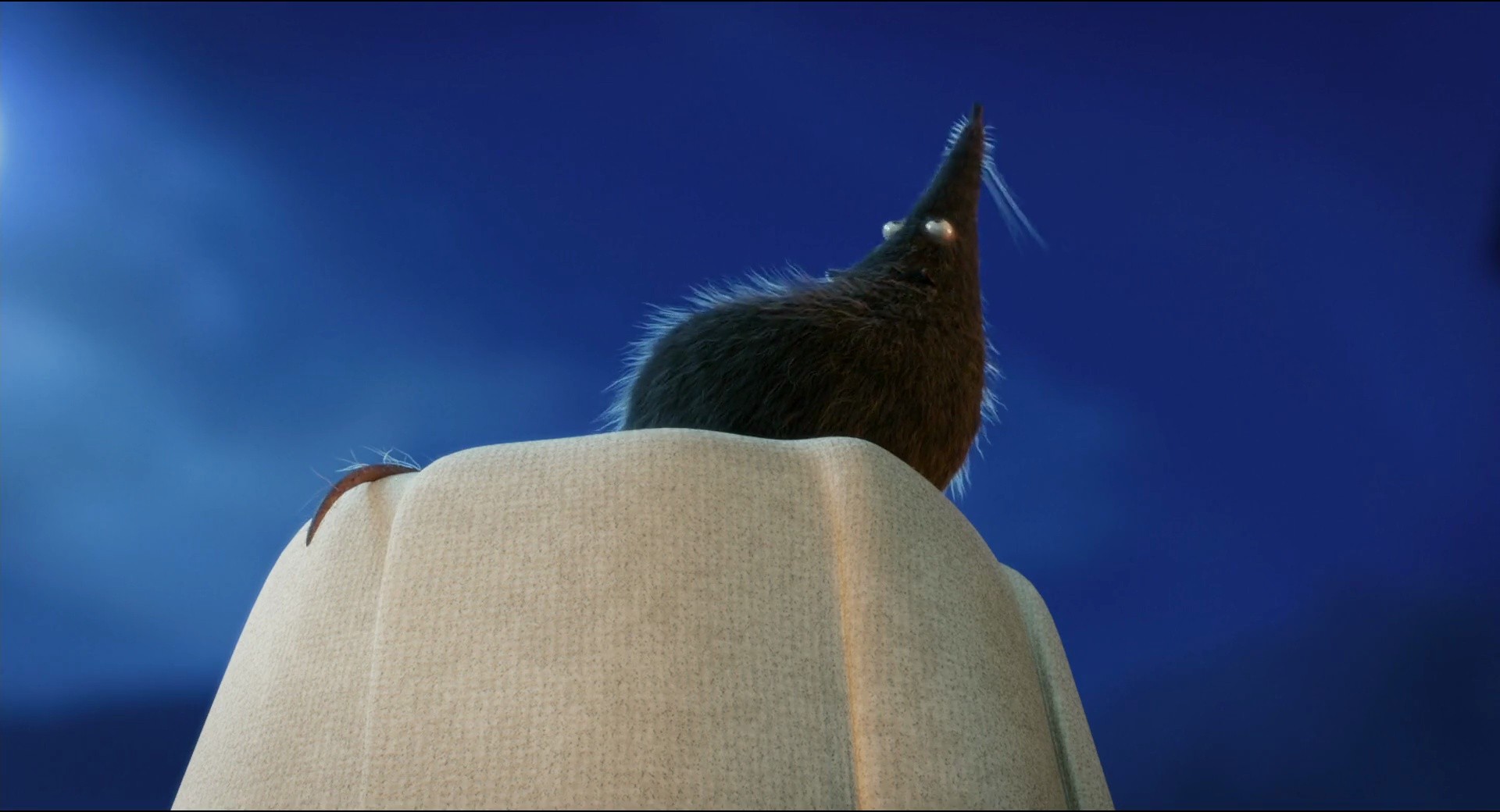 Shot 625