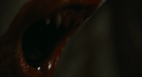 Shot 11