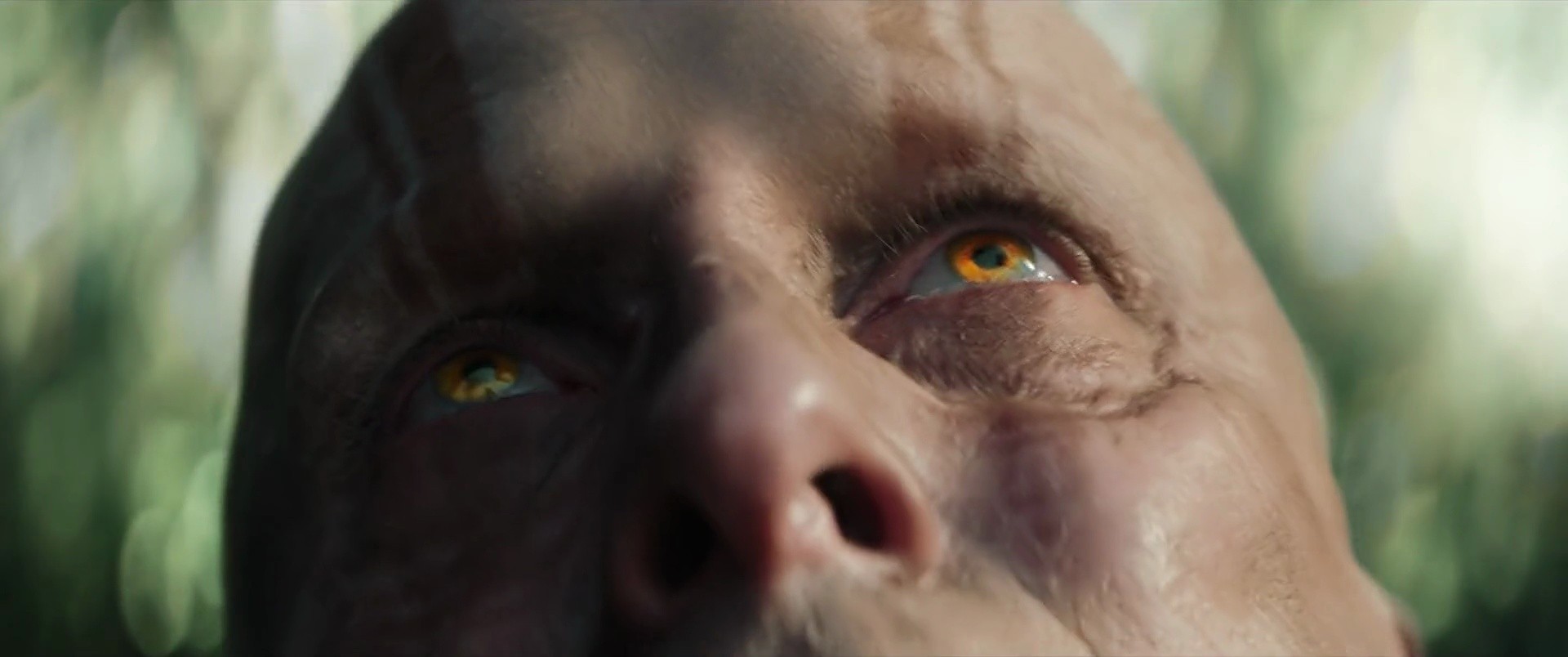Shot 78