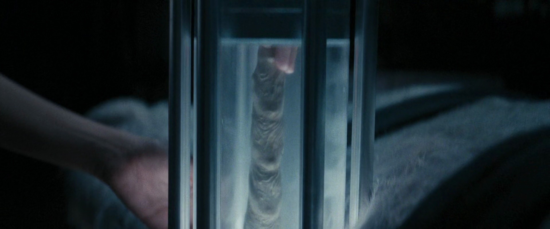 Shot 1146