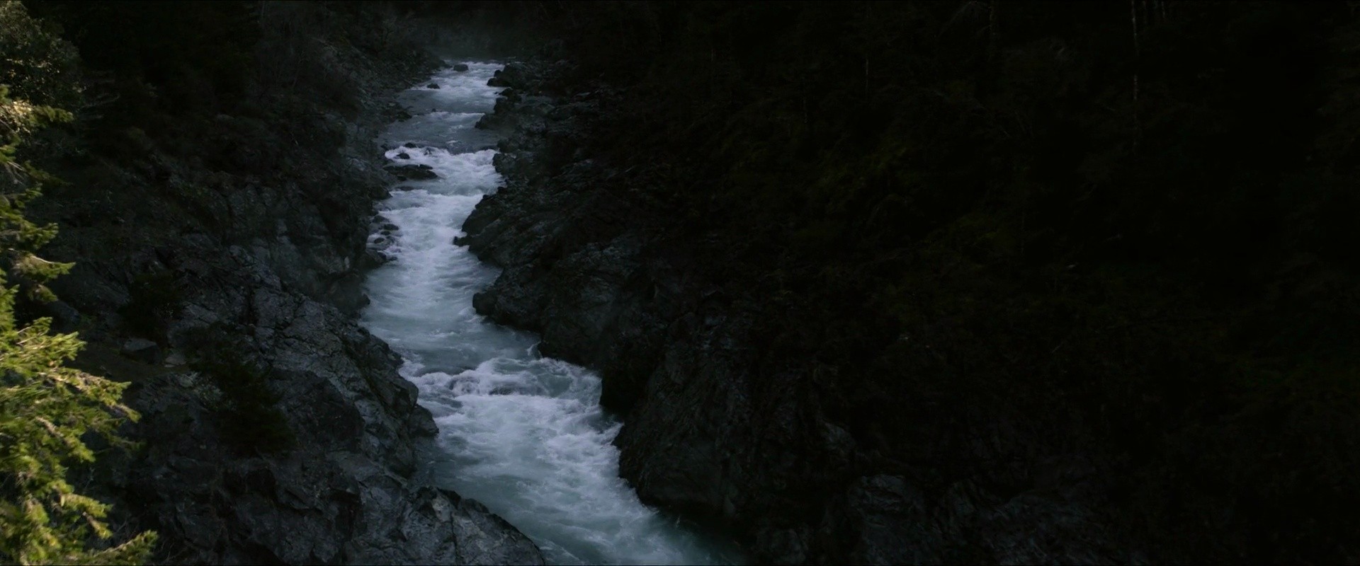 Shot 2009