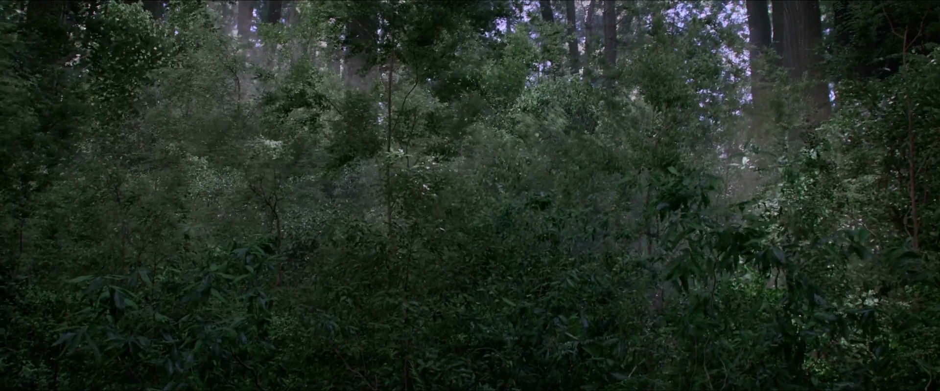 Shot 2273