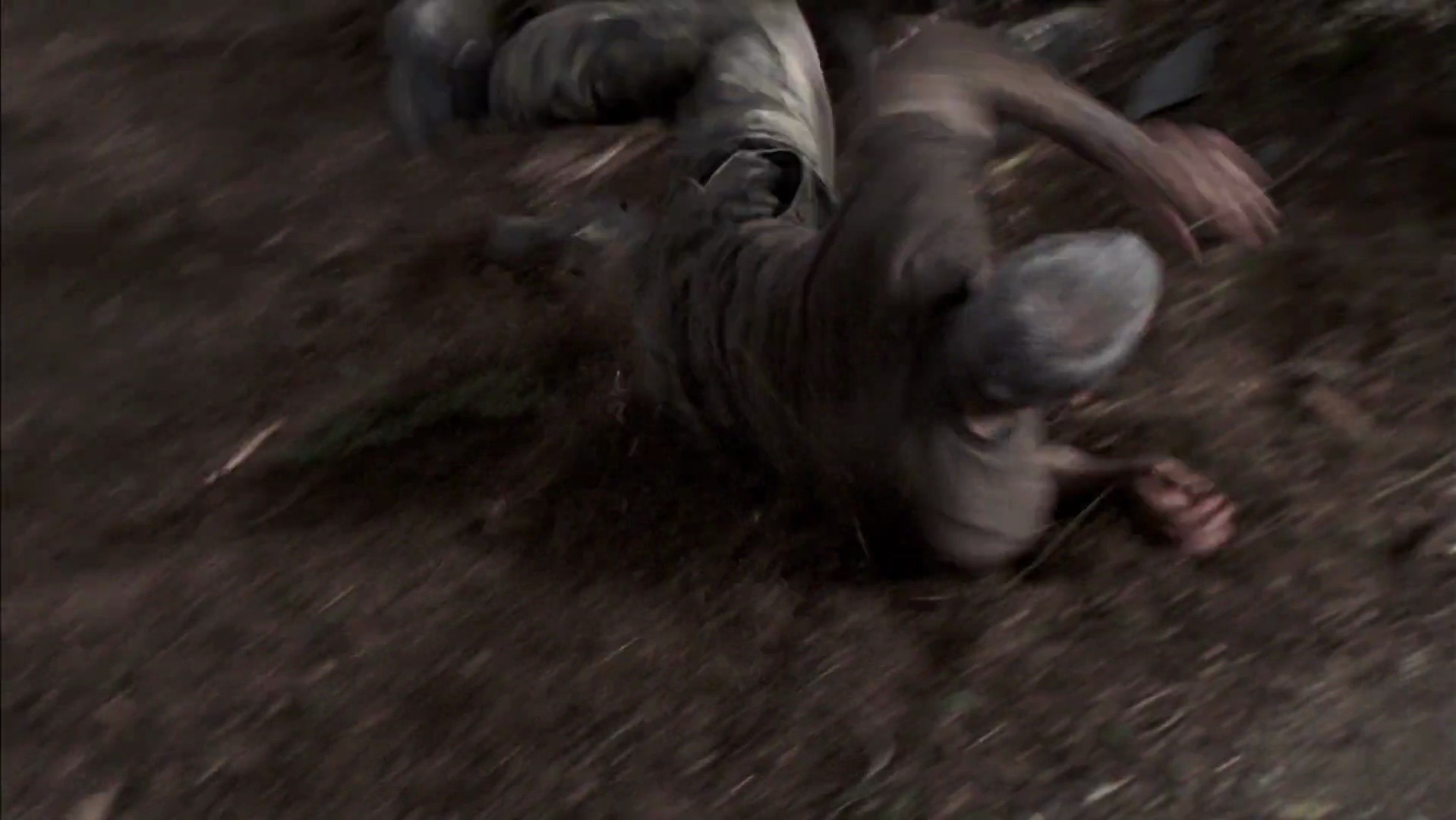 Shot 1115