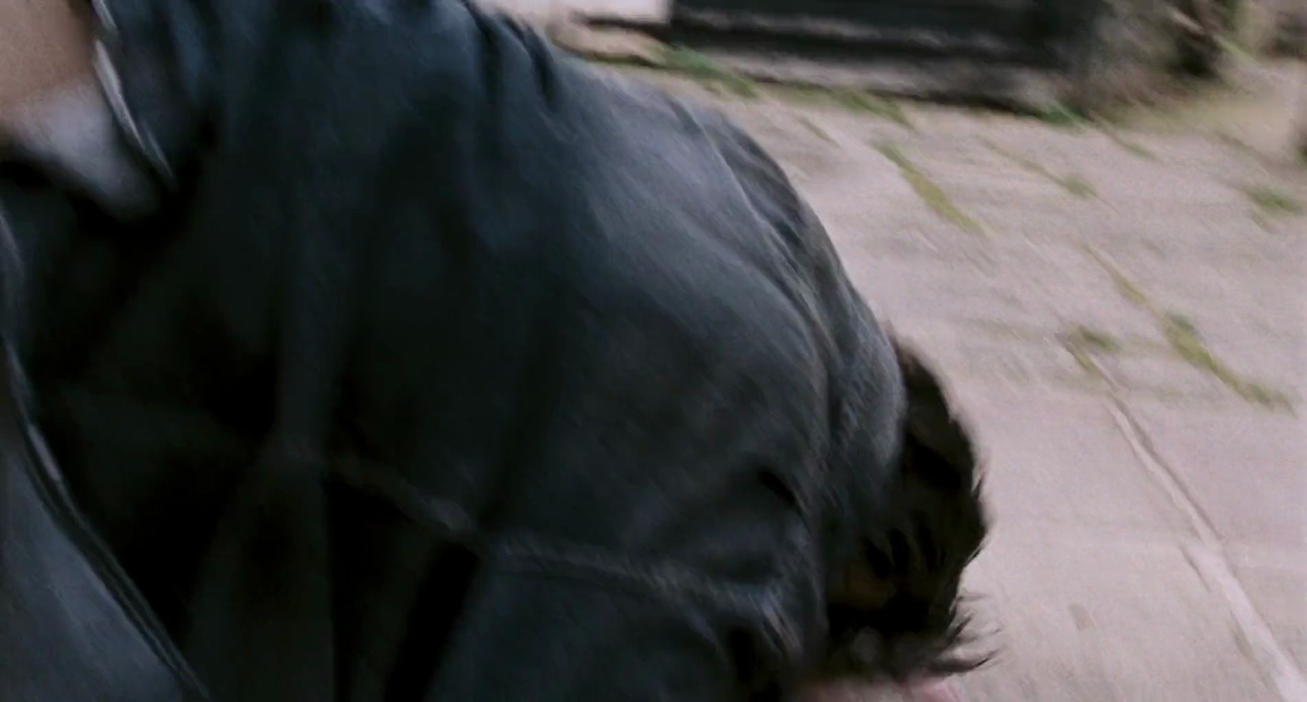 Shot 195
